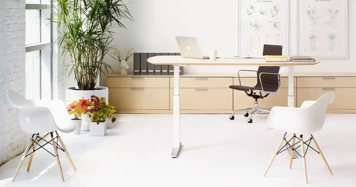 9 Best Standing Desks for Your Home Office, According to Experts